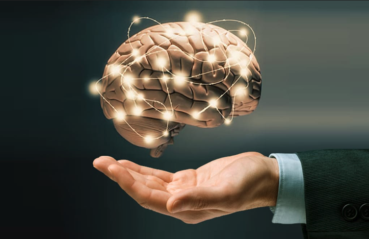 Neurociencias aplicadas en el comportamiento organizacional: una mirada transformadora